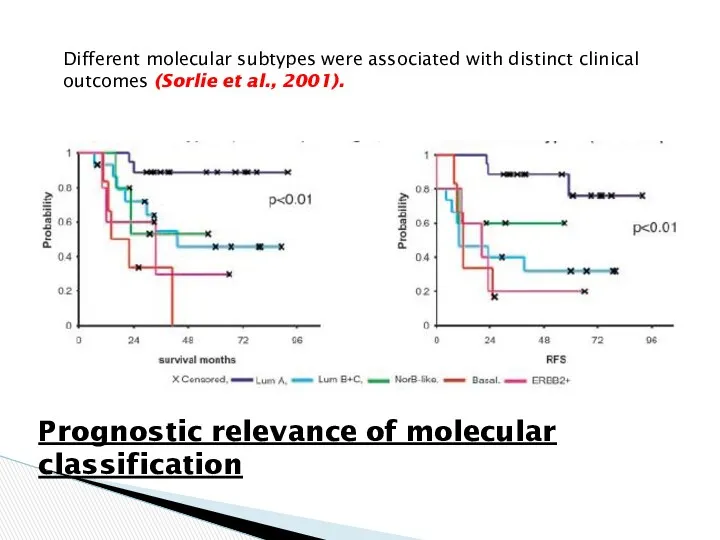 Different molecular subtypes were associated with distinct clinical outcomes (Sorlie et al., 2001).