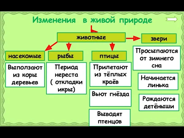 Изменения в живой природе животные насекомые рыбы птицы звери Выползают