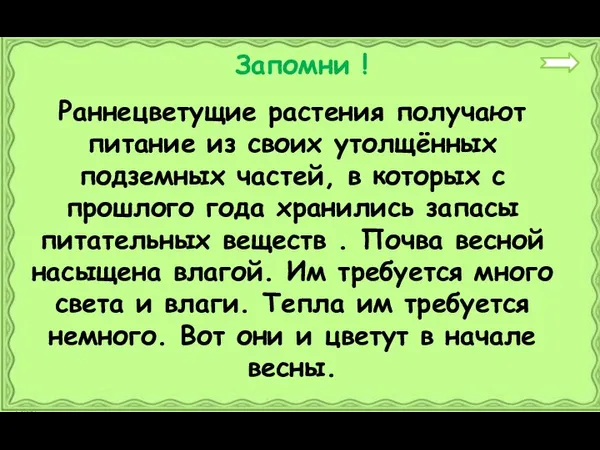 Раннецветущие растения получают питание из своих утолщённых подземных частей, в