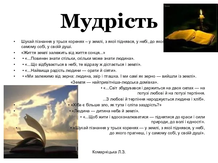 Мудрість Шукай пізнання у трьох коренях – у землі, з