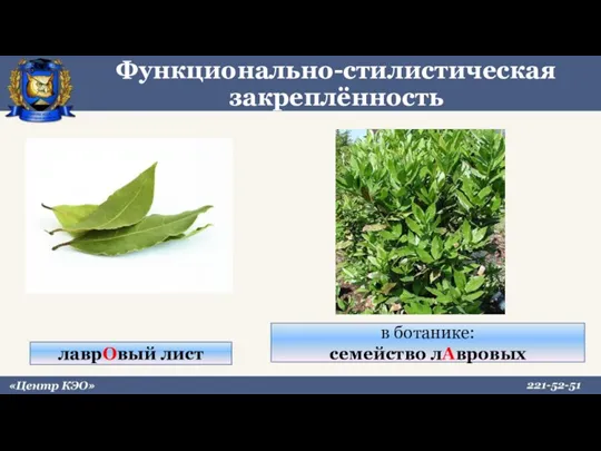 Функционально-стилистическая закреплённость лаврОвый лист в ботанике: семейство лАвровых