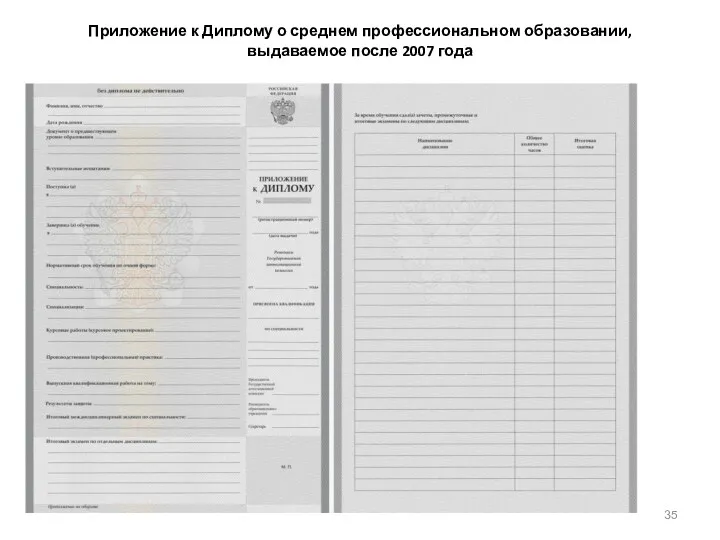 Приложение к Диплому о среднем профессиональном образовании, выдаваемое после 2007 года