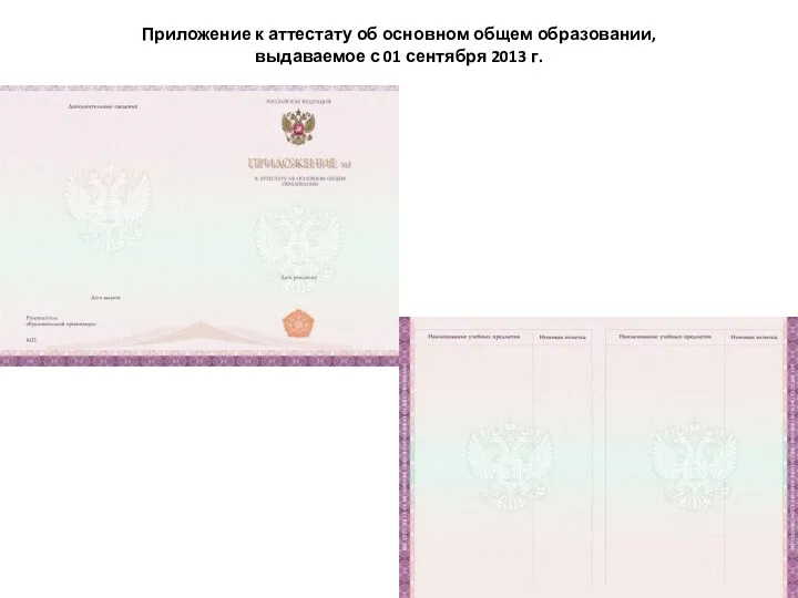 Приложение к аттестату об основном общем образовании, выдаваемое с 01 сентября 2013 г.