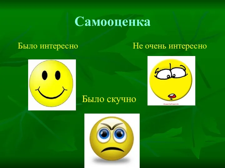 Самооценка Было интересно Не очень интересно Было скучно