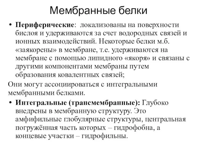 Мембранные белки Периферические: локализованы на поверхности бислоя и удерживаются за счет водородных связей