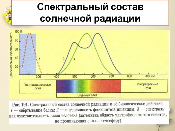 Спектральный состав солнечной радиации