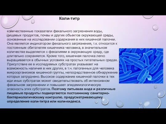 количественные показатели фекального загрязнения воды, пищевых продуктов, почвы и других объектов окружающей среды,