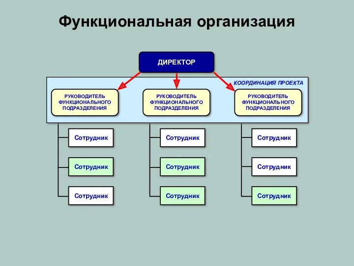 Функциональная организация