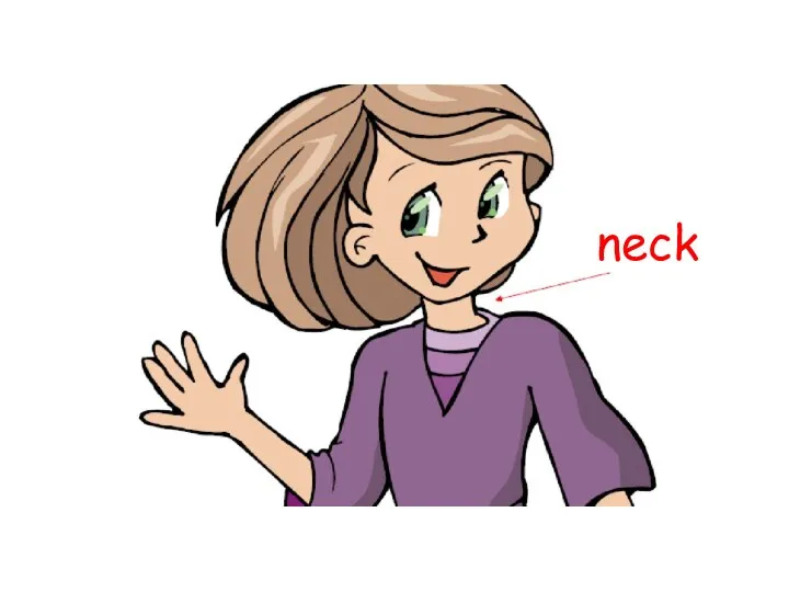 neck