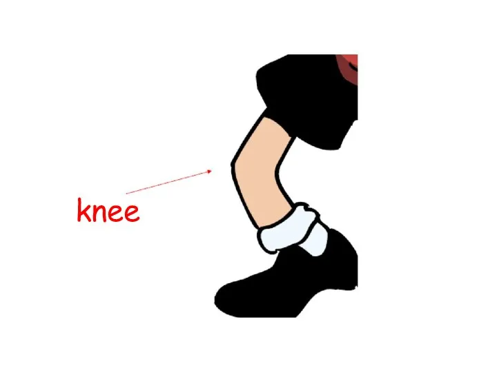 knee