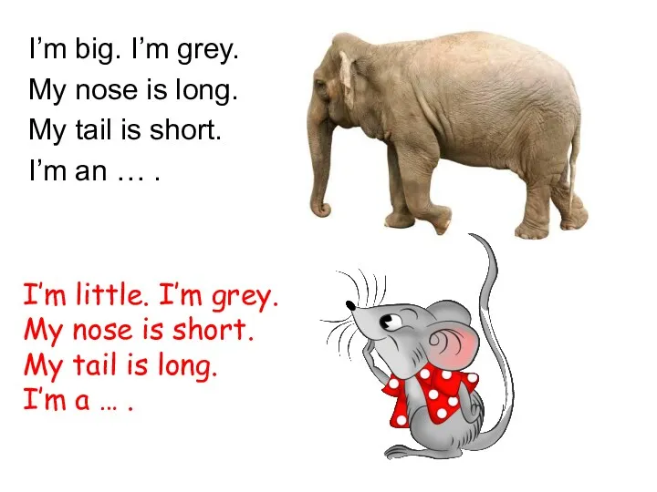 I’m big. I’m grey. My nose is long. My tail