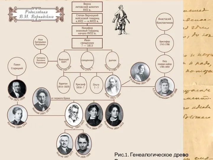 Рис.1. Генеалогическое древо Вернадских