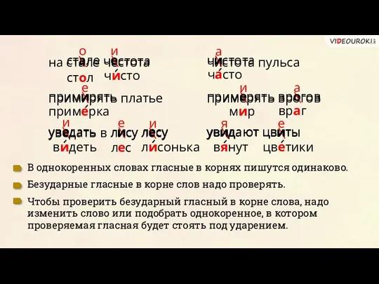 на стале честота примирять платье уведать в лису лесу чистота