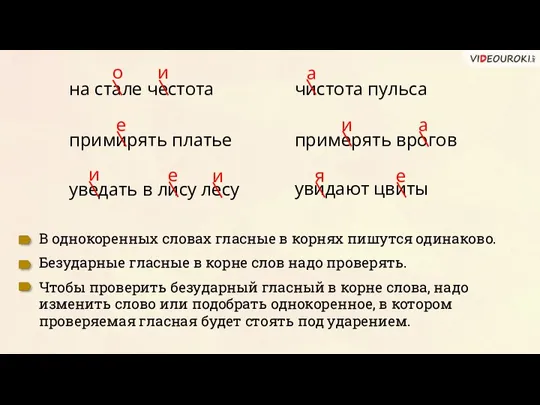 на стале честота примирять платье уведать в лису лесу чистота