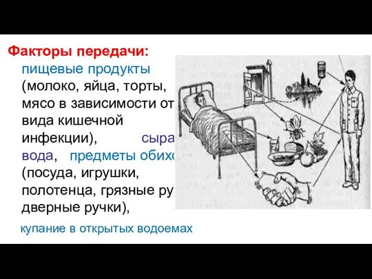 Факторы передачи: пищевые продукты (молоко, яйца, торты, мясо в зависимости