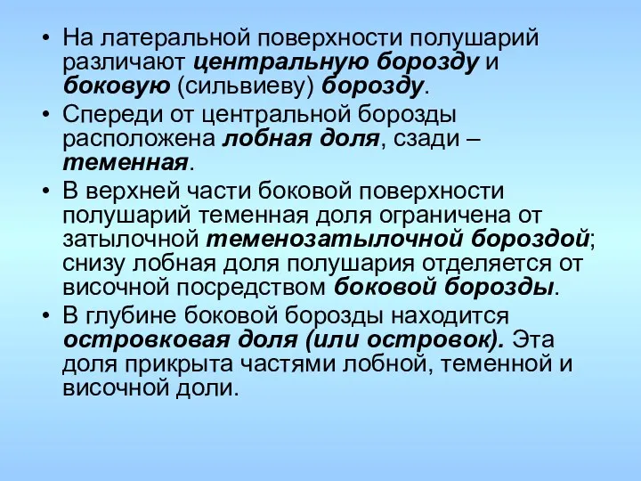 На латеральной поверхности полушарий различают центральную борозду и боковую (сильвиеву) борозду. Спереди от