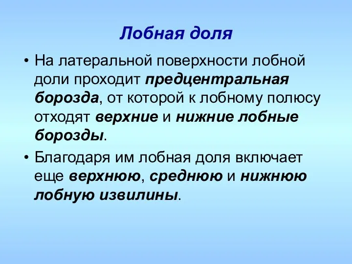 Лобная доля На латеральной поверхности лобной доли проходит предцентральная борозда,