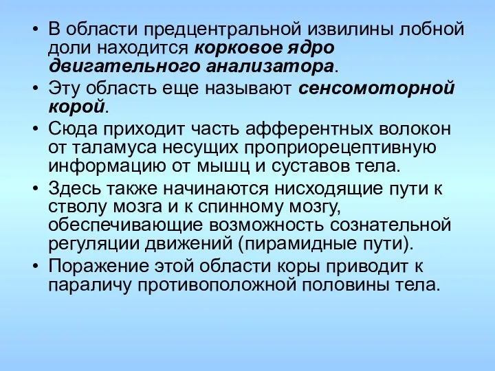 В области предцентральной извилины лобной доли находится корковое ядро двигательного