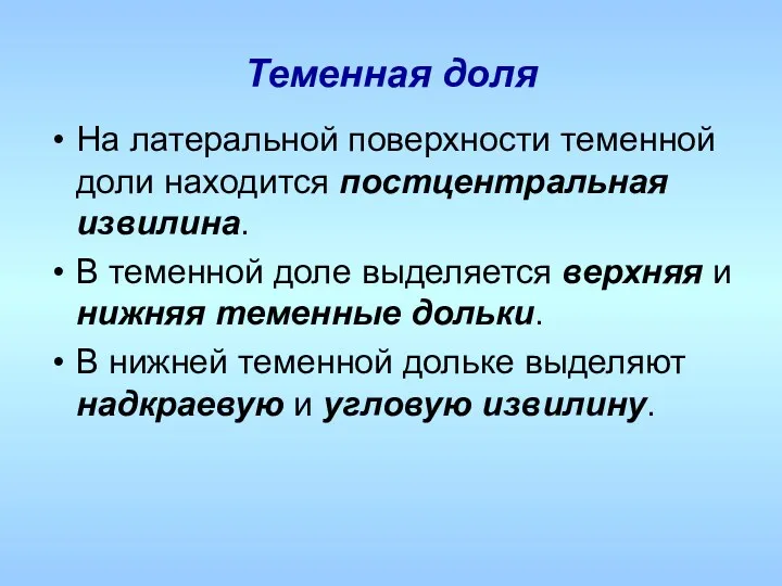 Теменная доля На латеральной поверхности теменной доли находится постцентральная извилина. В теменной доле