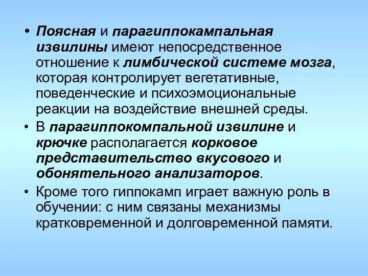 Поясная и парагиппокампальная извилины имеют непосредственное отношение к лимбической системе мозга, которая контролирует