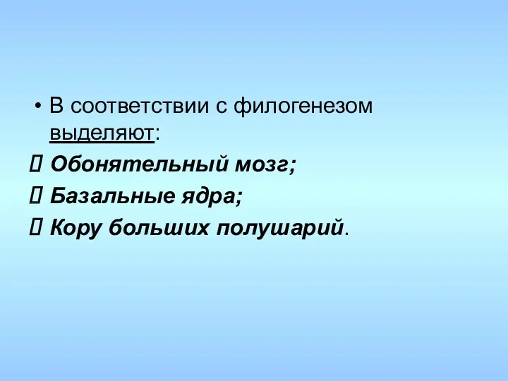 В соответствии с филогенезом выделяют: Обонятельный мозг; Базальные ядра; Кору больших полушарий.