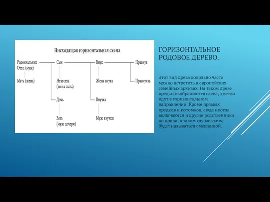ГОРИЗОНТАЛЬНОЕ РОДОВОЕ ДЕРЕВО. Этот вид древа довольно часто можно встретить в европейских семейных