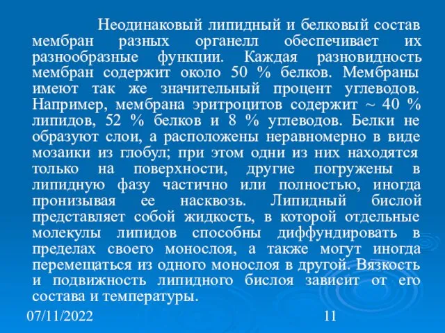 07/11/2022 Неодинаковый липидный и белковый состав мембран разных органелл обеспечивает