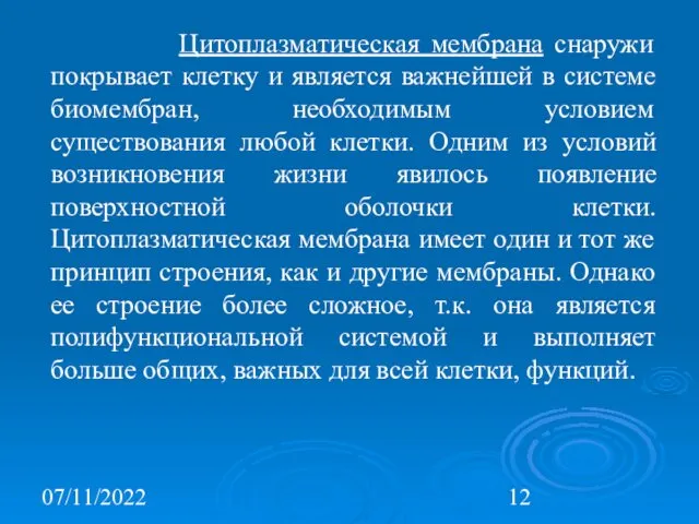 07/11/2022 Цитоплазматическая мембрана снаружи покрывает клетку и является важнейшей в