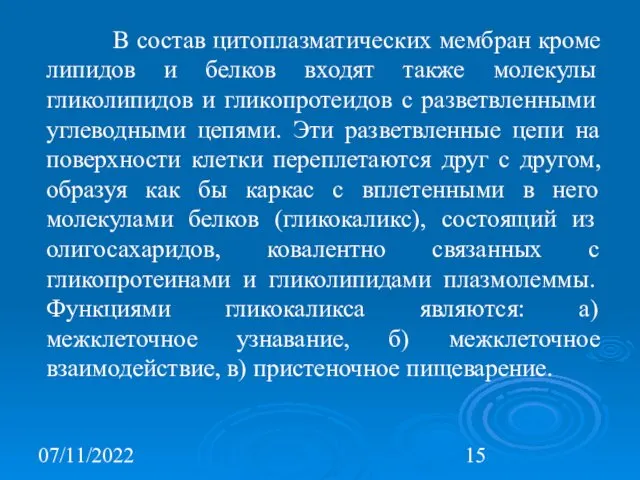 07/11/2022 В состав цитоплазматических мембран кроме липидов и белков входят