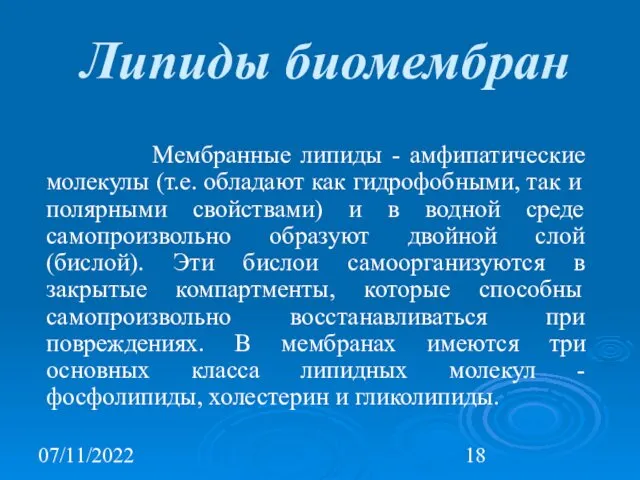 07/11/2022 Липиды биомембран Мембранные липиды - амфипатические молекулы (т.е. обладают