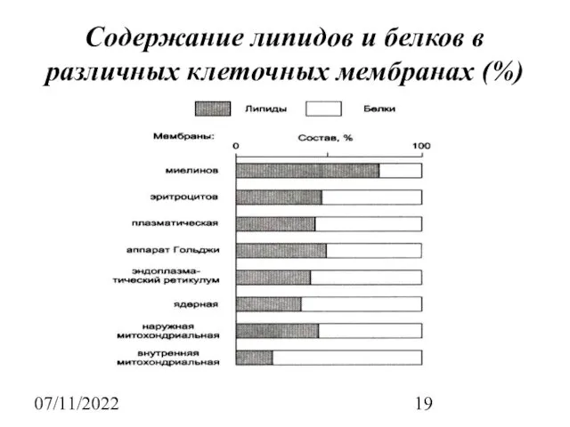 07/11/2022 Содержание липидов и белков в различных клеточных мембранах (%)
