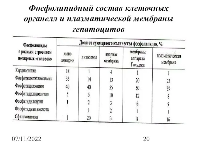 07/11/2022 Фосфолипидный состав клеточных органелл и плазматической мембраны гепатоцитов