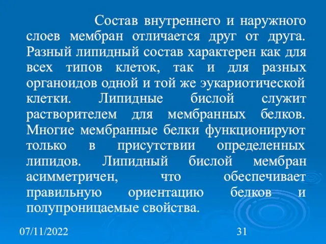 07/11/2022 Состав внутреннего и наружного слоев мембран отличается друг от