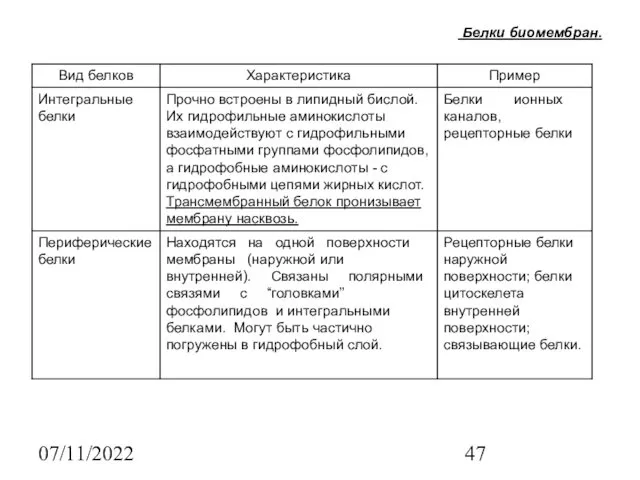 07/11/2022 Белки биомембран.