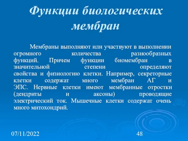 07/11/2022 Функции биологических мембран Мембраны выполняют или участвуют в выполнении