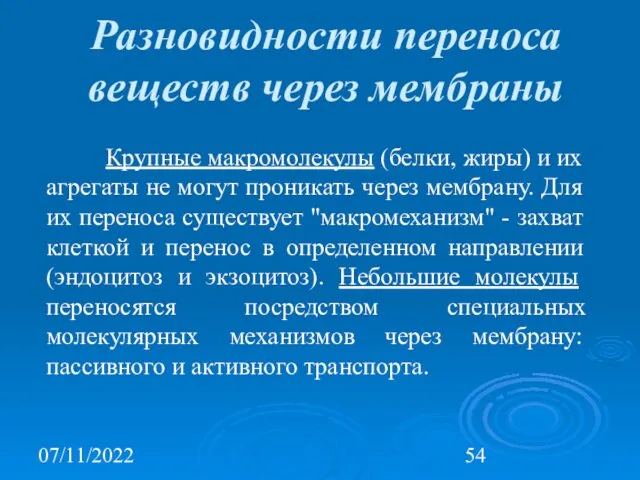 07/11/2022 Разновидности переноса веществ через мембраны Крупные макромолекулы (белки, жиры)