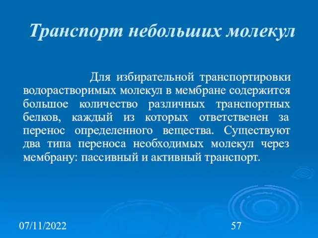 07/11/2022 Транспорт небольших молекул Для избирательной транспортировки водорастворимых молекул в