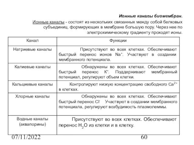 07/11/2022 Ионные каналы биомембран. Ионные каналы - состоят из нескольких