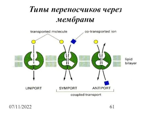 07/11/2022 Типы переносчиков через мембраны