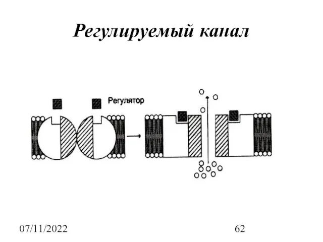 07/11/2022 Регулируемый канал