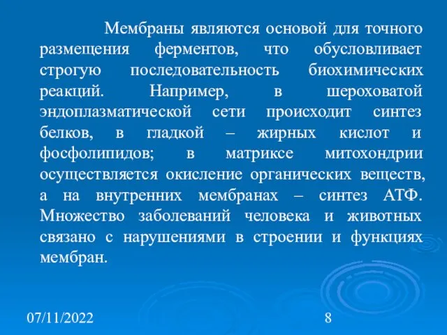 07/11/2022 Мембраны являются основой для точного размещения ферментов, что обусловливает