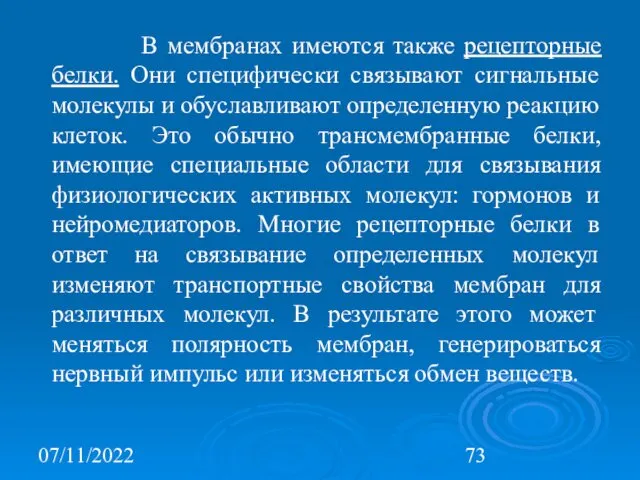 07/11/2022 В мембранах имеются также рецепторные белки. Они специфически связывают