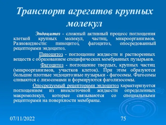 07/11/2022 Транспорт агрегатов крупных молекул Эндоцитоз - сложный активный процесс