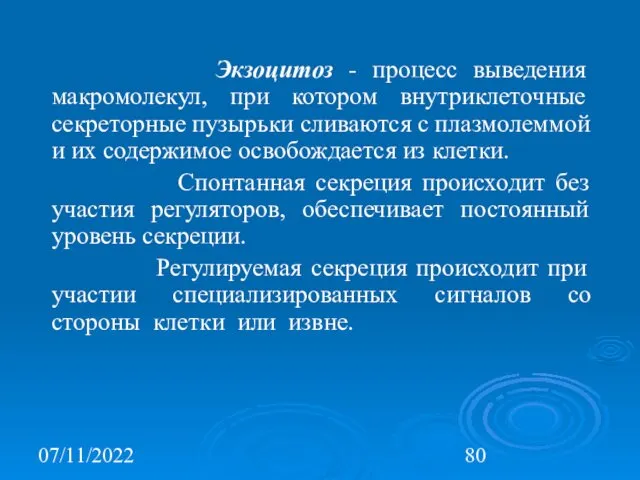 07/11/2022 Экзоцитоз - процесс выведения макромолекул, при котором внутриклеточные секреторные