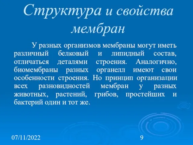 07/11/2022 Структура и свойства мембран У разных организмов мембраны могут