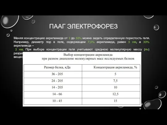 ПААГ ЭЛЕКТРОФОРЕЗ Меняя концентрацию акриламида от 2 до 50% можно