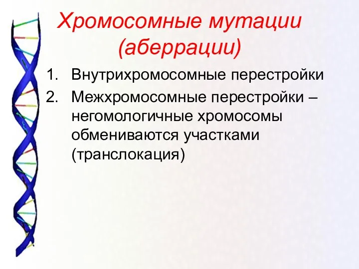 Хромосомные мутации (аберрации) Внутрихромосомные перестройки Межхромосомные перестройки – негомологичные хромосомы обмениваются участками (транслокация)