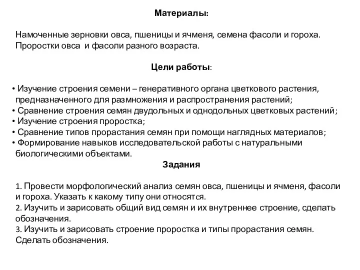 Материалы: Намоченные зерновки овса, пшеницы и ячменя, семена фасоли и