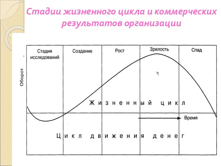 Стадии жизненного цикла и коммерческих результатов организации