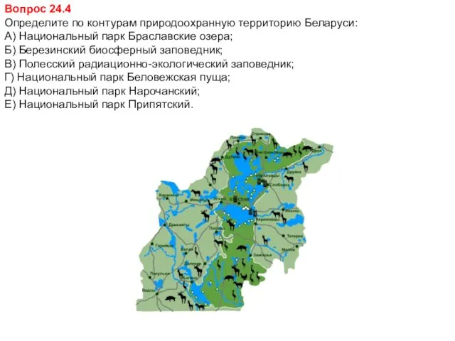 Вопрос 24.4 Определите по контурам природоохранную территорию Беларуси: А) Национальный
